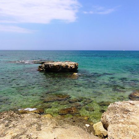 B&B Poggio Delle Ginestre Rutigliano Bagian luar foto